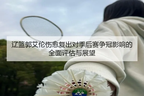 辽篮郭艾伦伤愈复出对季后赛争冠影响的全面评估与展望